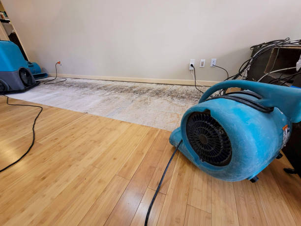Professional Basement Flood Cleanup technician working in Charleston Afb, SC